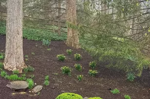 11901 Minor Jones Dr, Owings Mills, MD 21117 - Photo 46