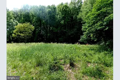 Wrights Mill, Windsor Mill, MD 21244 - Photo 4