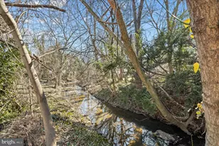 1236 Elm Ridge Ave, Baltimore, MD 21229 - Photo 2