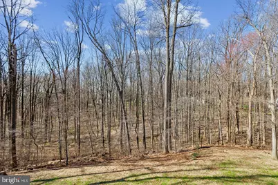 702 Falls Road, Parkton, MD 21120 - Photo 62