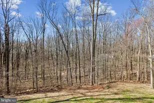 702 Falls Rd, Parkton, MD 21120 - Photo 62