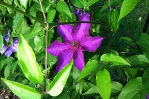 318 Alabama Rd, Towson, MD 21204 - Photo 64