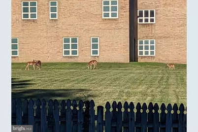 212 New Avenue, Reisterstown, MD 21136 - Photo 52