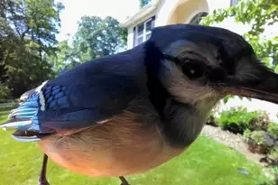 3618 Jackson Cabin Rd, Phoenix, MD 21131 - Photo 56