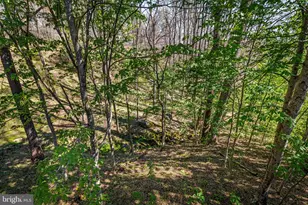 8230 Dogwood Rd, Windsor Mill, MD 21244 - Photo 42