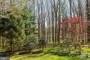 901 Chestnut Ridge Dr, Lutherville Timonium, MD 21093 - Photo 96