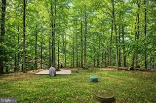 1505 Pinnacle Rd, Towson, MD 21286 - Photo 32