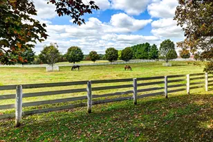 3366 Belmont Ave, Glyndon, MD 21136 - Photo 62