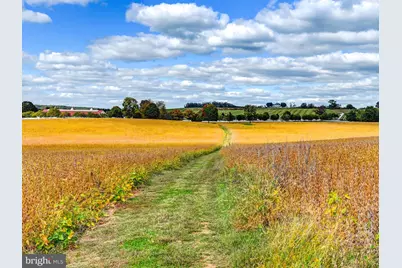 3366 Belmont Avenue, Glyndon, MD 21136 - Photo 90