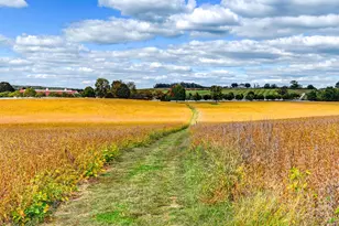 3366 Belmont Ave, Glyndon, MD 21136 - Photo 90