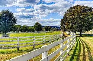 3366 Belmont Ave, Glyndon, MD 21136 - Photo 74