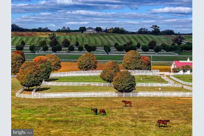 3366 Belmont Avenue, Glyndon, MD 21136 - Photo 88