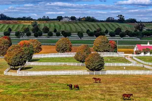 3366 Belmont Ave, Glyndon, MD 21136 - Photo 88