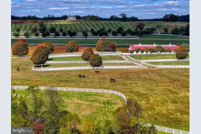 3366 Belmont Avenue, Glyndon, MD 21136 - Photo 86