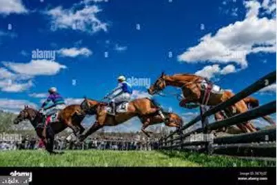 17011 Troyer Road, Monkton, MD 21111 - Photo 70