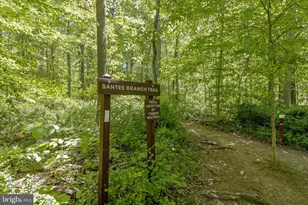 2005 Helmsby Rd, Catonsville, MD 21228 - Photo 50