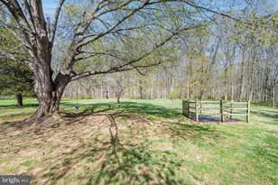 13707 Killarney Ct, Phoenix, MD 21131 - Photo 48