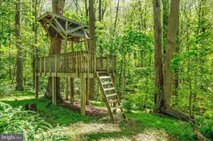 10913 Summit Ave, Woodstock, MD 21163 - Photo 42