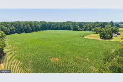7219 New Cut Road, Kingsville, MD 21087 - Photo 22