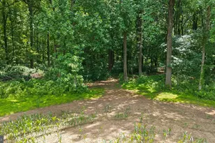 7219 New Cut Rd, Kingsville, MD 21087 - Photo 24