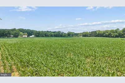 7219 New Cut Road, Kingsville, MD 21087 - Photo 26