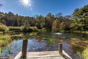 12500 Ivy Mill Rd, Reisterstown, MD 21136 - Photo 12