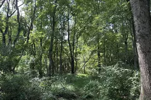 Missi Ct, Owings Mills, MD 21117 - Photo 1