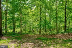 24 Andrews Ct, Parkton, MD 21120 - Photo 18