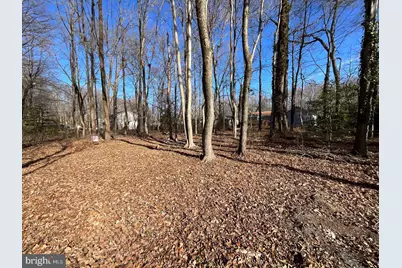 Holly Neck Road, Essex, MD 21221 - Photo 2