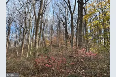 Cuba Road, Cockeysville, MD 21030 - Photo 8