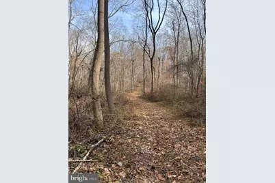 Cuba Road, Cockeysville, MD 21030 - Photo 12