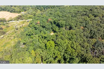 19201 Tyson Road, White Hall, MD 21161 - Photo 42