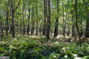 19201 Tyson Rd, White Hall, MD 21161 - Photo 34