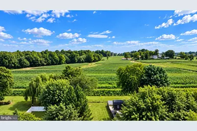 11105 Bird River Grove Road, White Marsh, MD 21162 - Photo 12