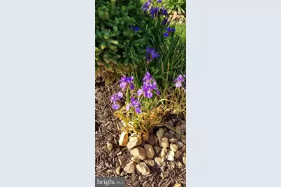 219 Homevale Road, Reisterstown, MD 21136 - Photo 6