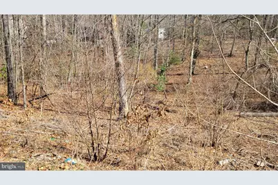 11436 Stirrup Lane, Lusby, MD 20657 - Photo 2