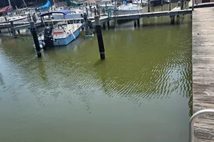 1766 N Harbor Dr, Saint Leonard, MD 20685 - Photo 1