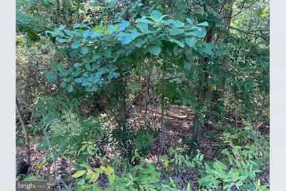 11525 Senora Lane, Lusby, MD 20657 - Photo 4