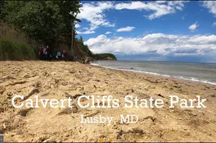 1021 Concord Ct, Owings, MD 20736 - Photo 38