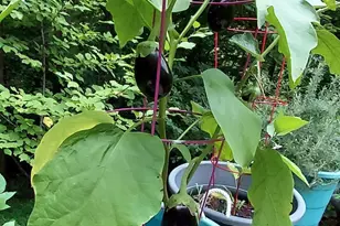 7410 Dakota Ave, Chesapeake Beach, MD 20732 - Photo 56