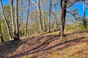 12509 San Jose Ct, Lusby, MD 20657 - Photo 30