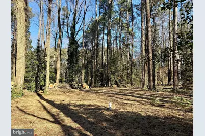 329 Overlook Drive, Lusby, MD 20657 - Photo 30