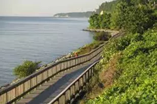 7931 Delores Ct, Chesapeake Beach, MD 20732 - Photo 50