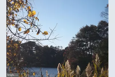 419 Seagull Lane, Lusby, MD 20657 - Photo 42