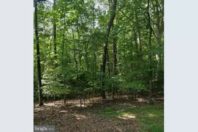 485 San Antonio Drive, Lusby, MD 20657 - Photo 1