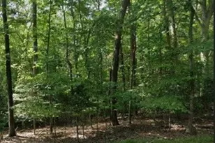 485 San Antonio Dr, Lusby, MD 20657 - Photo 1