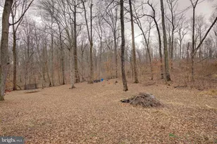 11130 Dumbarton Dr, Dunkirk, MD 20754 - Photo 48