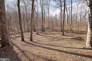 11130 Dumbarton Dr, Dunkirk, MD 20754 - Photo 62