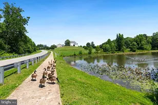 2815 Dry Creek Ct, Huntingtown, MD 20639 - Photo 90