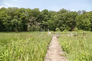 12124 Palisades Dr, Dunkirk, MD 20754 - Photo 132